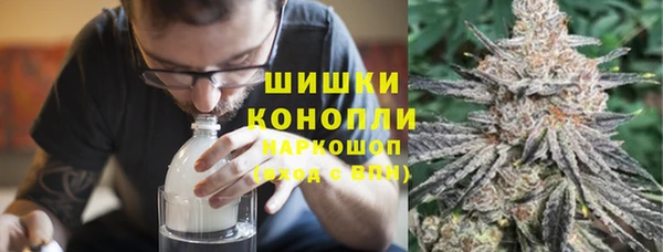 молекула духа Костерёво
