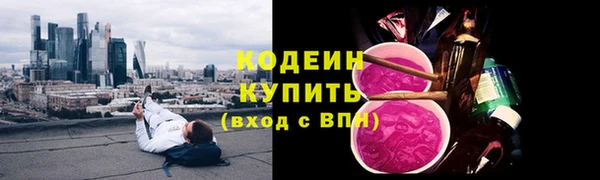 соль ск Болотное