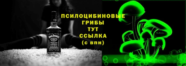 ECSTASY Козловка